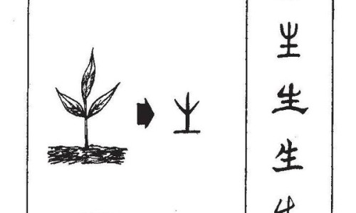 脂肪燃烧过程图片大全-脂肪燃烧过程图片网 - 脂肪燃烧后怎么排出体外,脂肪燃烧过程图片高清