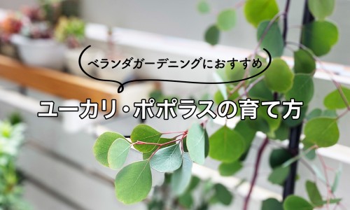 脂肪燃烧图片真实-脂肪燃烧过程图片网 - 脂肪燃烧后怎么排出体外,脂肪燃烧过程图片高清